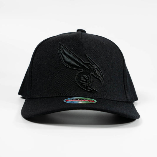 Charlotte Hornets Black & Black Team Logo Classic Red Snapback